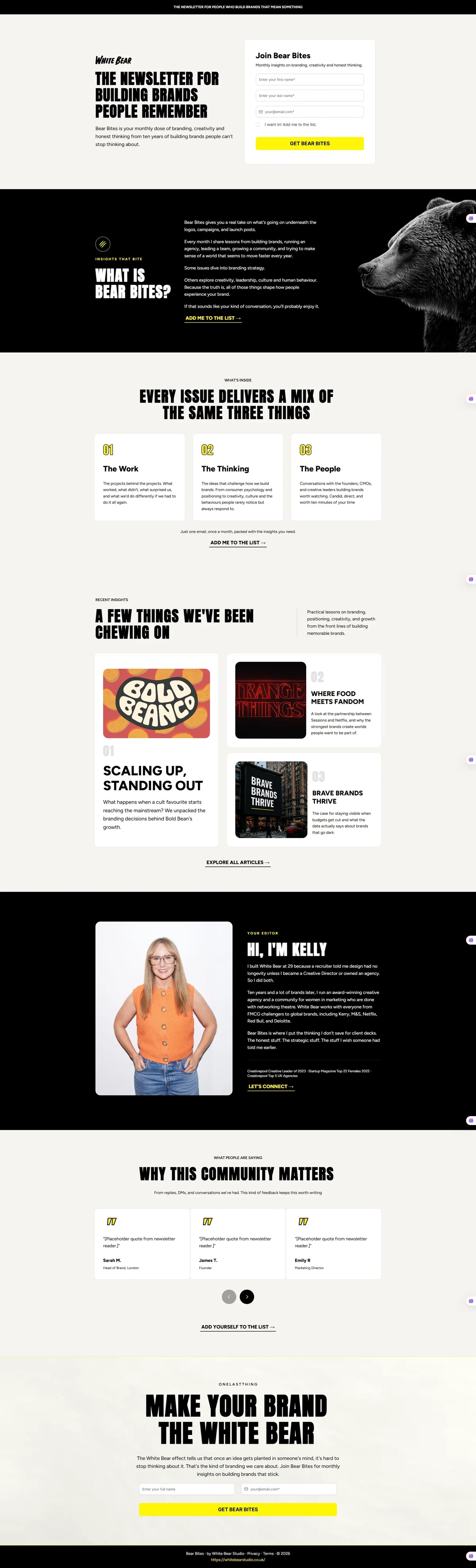 Newsletter Landing Page — full page screenshot