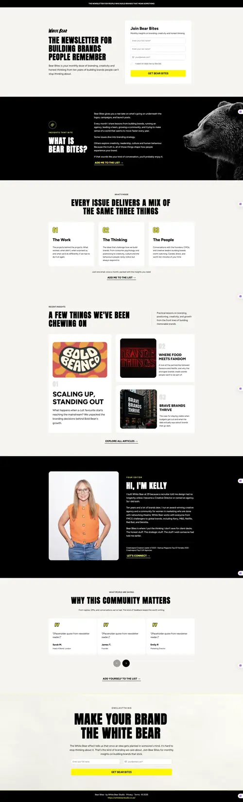 Newsletter Landing Page — full page screenshot